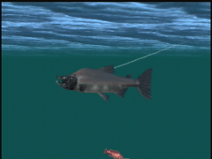 Quand on fère un poisson, on a droit à une vue 3D (Nushi Tsuri 64: Shiokaze Ni Notte)