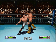 Virtual Pro Wrestling 2: Oudou Keishou  (Virtual Pro Wrestling 2: Oudou Keishou)