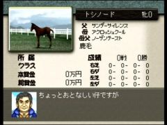 Votre éleveur vous renseigne sur la santé du cheval (Derby Stallion 64)