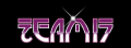 Le logo du développeur Team17 Software Limited