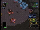 Starcraft_64