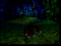 Donkey_Kong_64 (Donkey Kong 64)