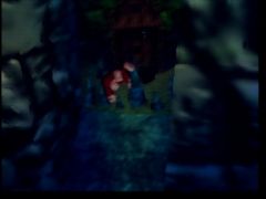 Donkey_Kong_64 (Donkey Kong 64)