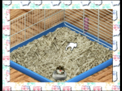 Hamster (Hamster Monogatari 64)