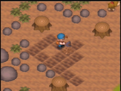 La nuit tombe, mais je continue de creuser (Harvest Moon 64)