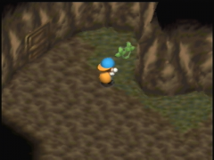 Je ramasse des plantes dans une grotte (Harvest Moon 64)