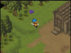 Une cabane dans la forêt (Harvest Moon 64)