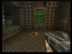 Des mouches volent autour des cadavres. Charmant. (Quake II)