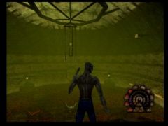 Cette immense salle du jeu Shadow Man sur Nintendo 64 va permettre à Mike de récupérer un Gad, tatouage vaudou permettant de supporter le feu (Shadow Man)