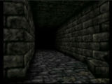 Ce genre de couloir désert, vous en croiserez beaucoup dans le jeu Shadowgate 64 : Trial of the four Towers