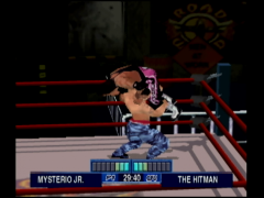 WCW (WCW Mayhem)