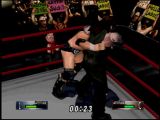 WWF 2000