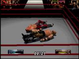 WWF 2000