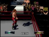 WWF 2000