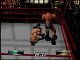 WWF 2000