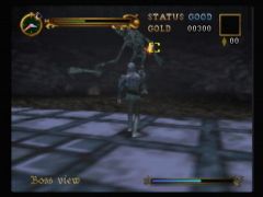 Il faut viser les points faibles des boss pour les vaincre plus facilement (Castlevania: Legacy of Darkness)