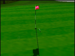 J'approche du but (Japan Pro Golf Tour 64)