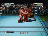 Virtual Pro Wrestling 2: Oudou Keishou 