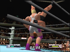 Ca va faire mal (Virtual Pro Wrestling 2: Oudou Keishou)