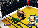 Virtual Pro Wrestling 64