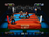 Virtual Pro Wrestling 64