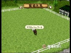 Vous devez élever votre cheval (Derby Stallion 64)