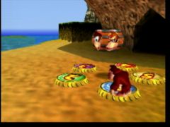 Ce sont des téléporteurs! On peut aussi changer de personnage. (Donkey Kong 64)